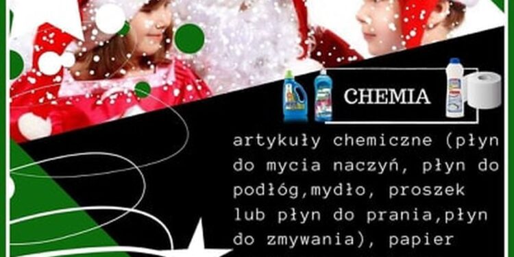 Stalowa Wola: Zielono-czarny Mikołaj