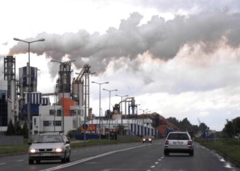 Mielec: Chcą budować inkubatory