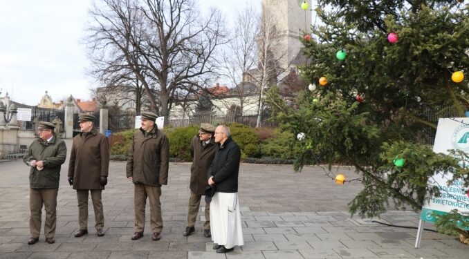 Jasna Góra: Choinka od ostrowieckich leśników.