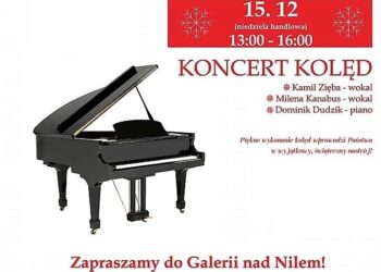 Kolbuszowa: Koncert nad Nilem.