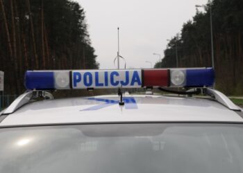 Mielec: Przyjechał z Łodzi by kraść w Mielcu.