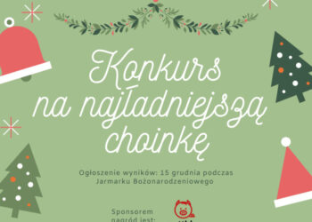 Stalowa Wola: Trwa konkurs na najładniejszą choinkę