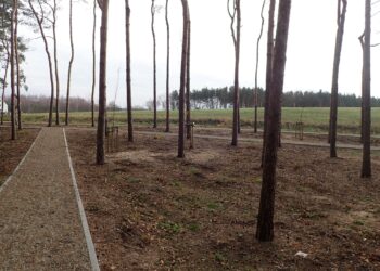 Mielec:  Czy było to nieporozumienie?