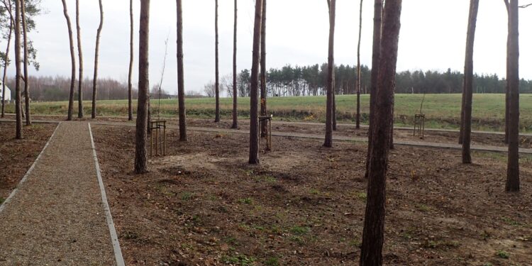 Mielec:  Czy było to nieporozumienie?