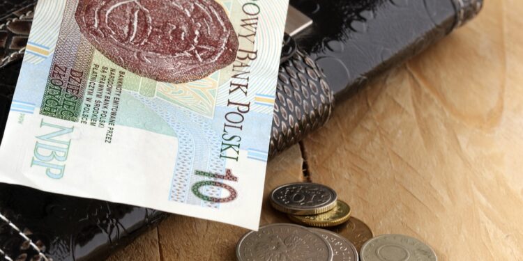 Mielec:  Szukamy, ciągle szukamy