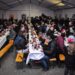 Mielec: Wigilijnie dla samotnych…