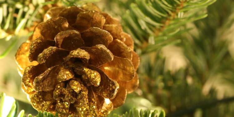 Tarnobrzeg. Wspólne ubieranie choinki na Placu Bartosza Głowackiego.