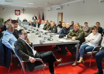 Mielec: ASF u bram powiatu mieleckiego