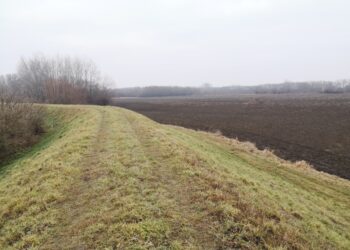 Gorzyce: Rusza modernizacja lewego wału rzeki San