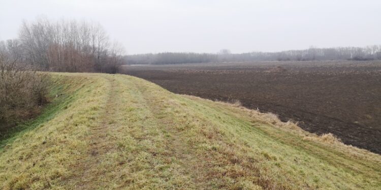 Gorzyce: Rusza modernizacja lewego wału rzeki San