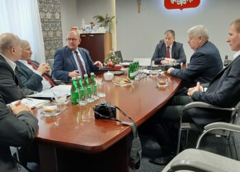 Mielec: ASF u wrót powiatu