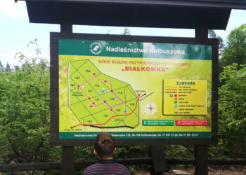 Kolbuszowa: Polowanie na Białkówce.