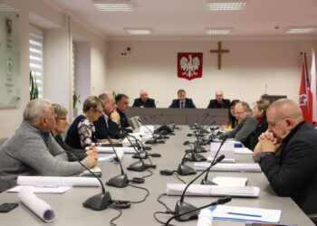 Mielec: Co zrobić z bezpańskimi czworonogami?