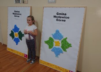 Radomyśl Wielki: Ekologia jest OK