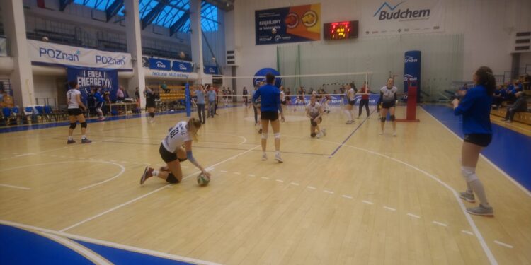 Mielec: Przegrane piłkarzy i siatkarek