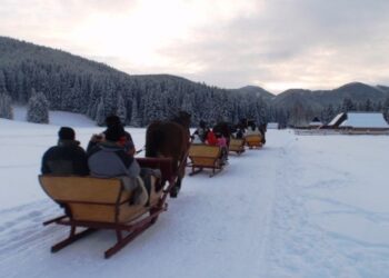 Radomyśl Wielki: Radny uratował od wypadku