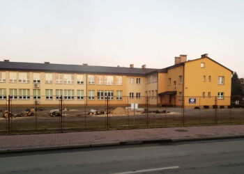 Kolbuszowa: Kontrowersyjna wycinka