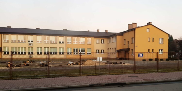 Kolbuszowa: Kontrowersyjna wycinka