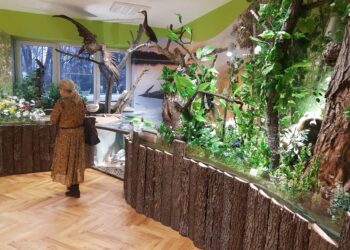 Tarnobrzeg. Ogromne zainteresowanie Centrum Natura 2000. Wkrótce wstęp za opłatą.