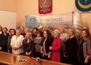 Polska. Mały ZUS plus