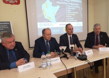 Region. Nowa Dęba i Kolbuszowa będą miały obwodnice