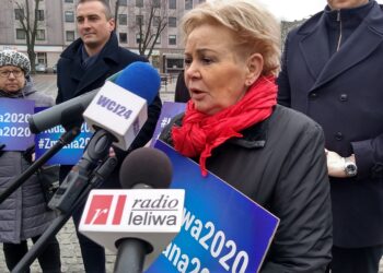 Mielec: Poprawki poseł Skowrońskiej