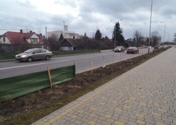 Tarnobrzeg. Silny wiatr niszczy osłony przy głównej arterii miasta.