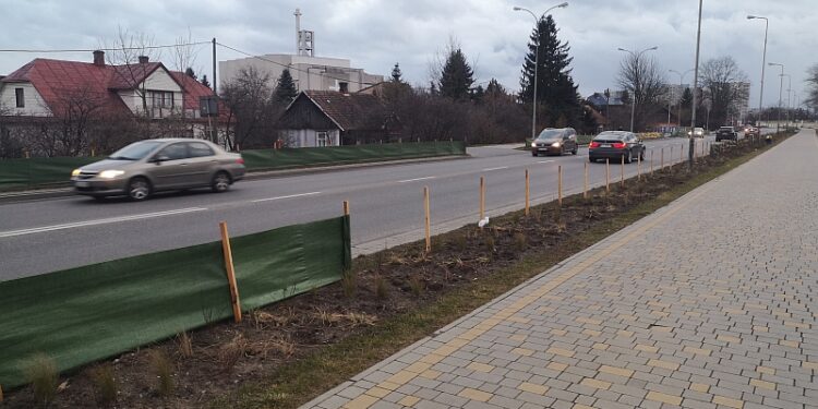 Tarnobrzeg. Silny wiatr niszczy osłony przy głównej arterii miasta.