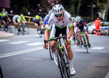 Stalowa Wola: Początek we Francji