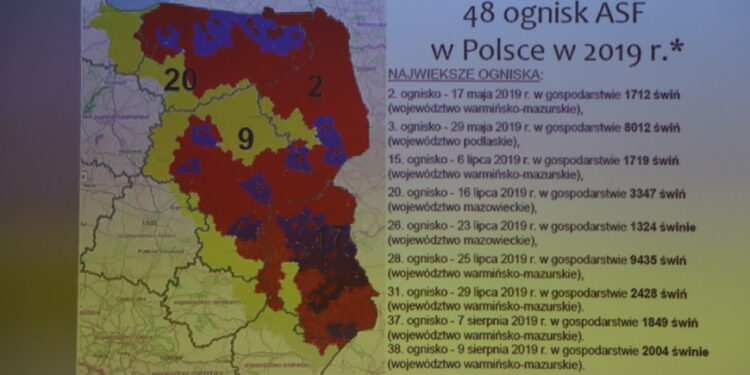 Padew Narodowa: Czy ASF trafi do Powiatu Mieleckiego.