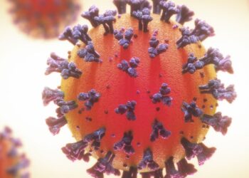 Tarnobrzeg. Nie ma zagrożenia koronawirusem