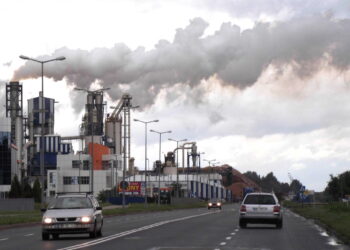 Mielec: Pytanie o inkubatory koło Kronospanu.