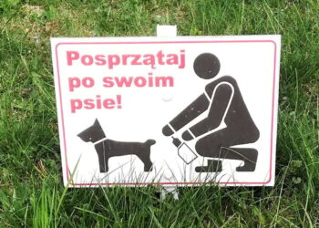 Kolbuszowa: Plaga psich kup