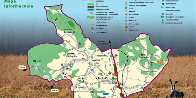 Cmolas: Budują światłowód