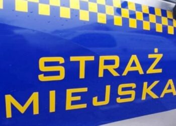 Mielec: Mają służyć  i pomagać