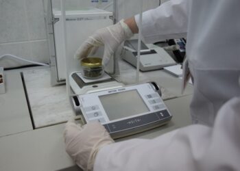 Region: Marihuana w słoiku