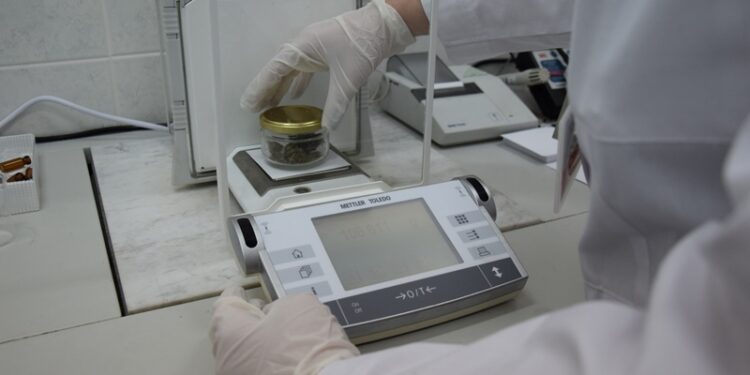 Region: Marihuana w słoiku