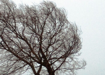 Stalowa Wola: Silny wiatr nie narozrabiał