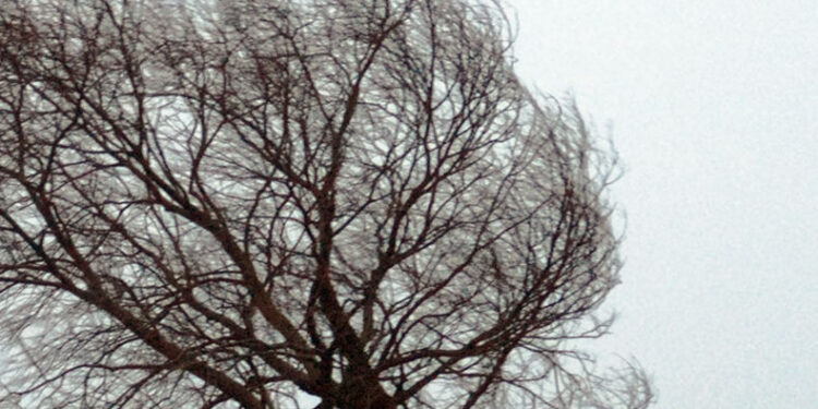 Stalowa Wola: Silny wiatr nie narozrabiał