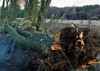 Kolbuszowa: Skutki wichury.