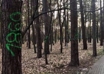 Mielec: Kontrowersyjna rewitalizacja