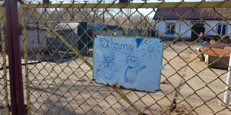 Tarnobrzeg. Licytacje dla Machowiaków.