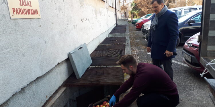 Sandomierz: Jogurty i jabłka trafiły do szpitala.