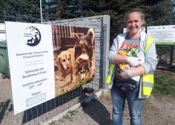 Sandomierz: Jak schronisko dla bezdomnych psów radzi sobie w czasie epidemii?