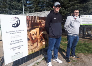 Sandomierz: Jak schronisko dla bezdomnych psów radzi sobie w czasie epidemii?