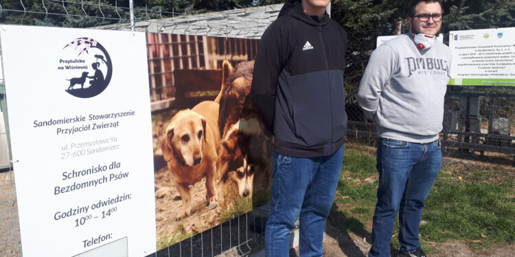 Sandomierz: Jak schronisko dla bezdomnych psów radzi sobie w czasie epidemii?