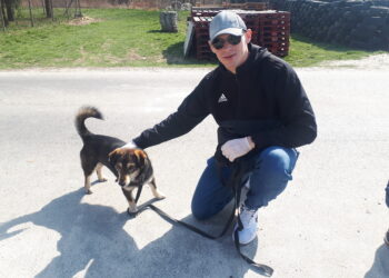 Sandomierz: Jak schronisko dla bezdomnych psów radzi sobie w czasie epidemii?