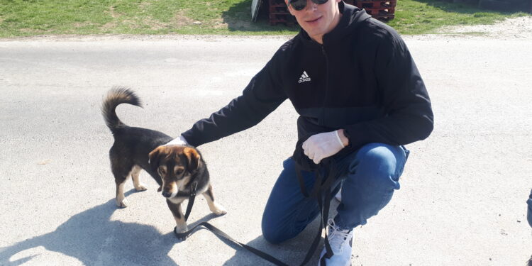 Sandomierz: Jak schronisko dla bezdomnych psów radzi sobie w czasie epidemii?