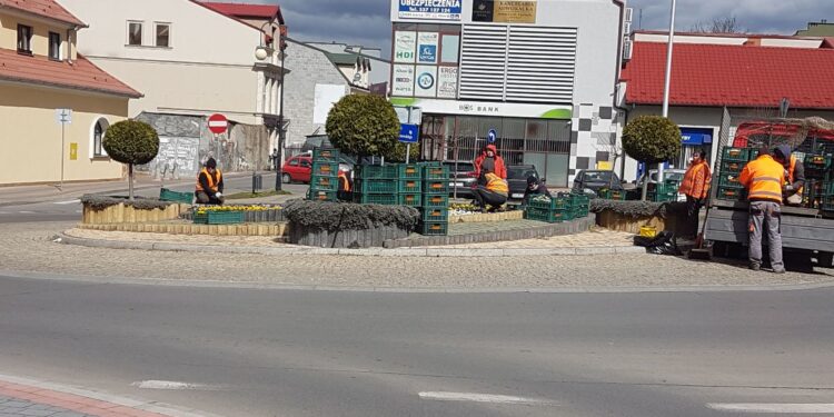 Tarnobrzeg. Kolorowo na rondach.