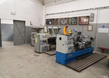 Tarnobrzeg. Morsy po raz czwarty przepłynęły Wisłę